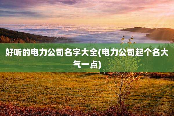 好听的电力公司名字大全(电力公司起个名大气一点)