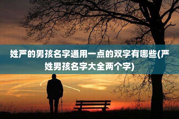 姓严的男孩名字通用一点的双字有哪些(严姓男孩名字大全两个字)