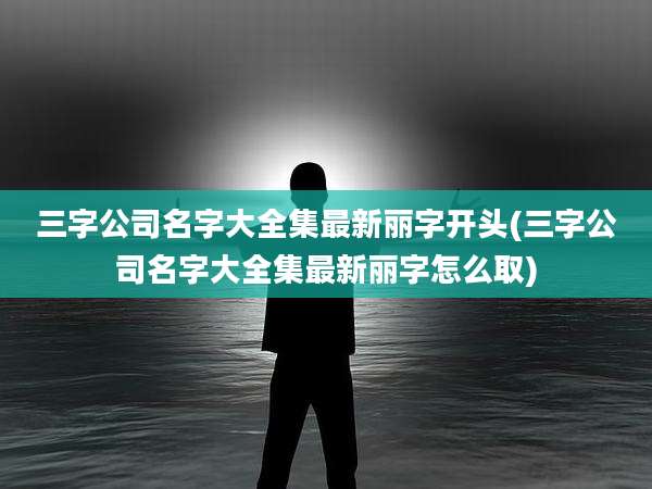 三字公司名字大全集最新丽字开头(三字公司名字大全集最新丽字怎么取)