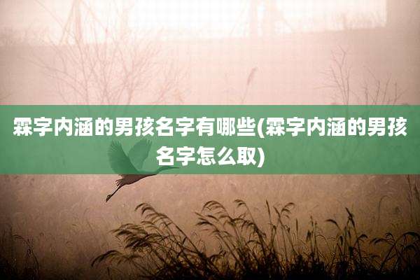 霖字内涵的男孩名字有哪些(霖字内涵的男孩名字怎么取)