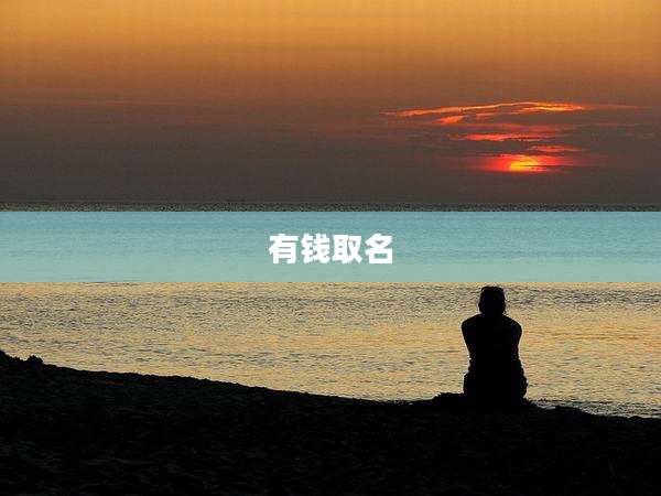 有钱取名
