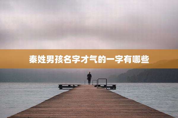 秦姓男孩名字才气的一字有哪些