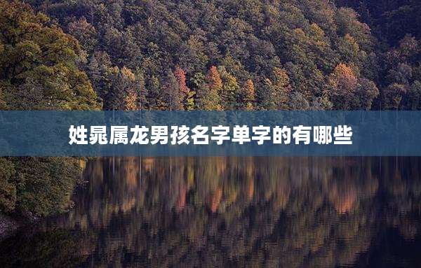 姓晁属龙男孩名字单字的有哪些