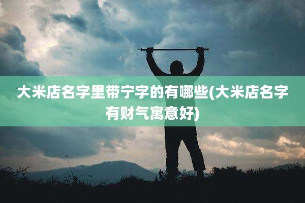 大米店名字里带宁字的有哪些(大米店名字有财气寓意好)