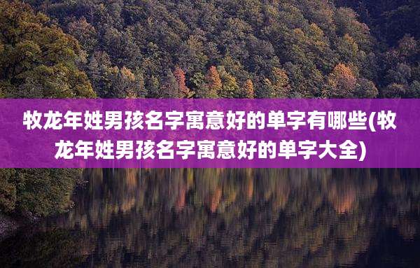 牧龙年姓男孩名字寓意好的单字有哪些(牧龙年姓男孩名字寓意好的单字大全)