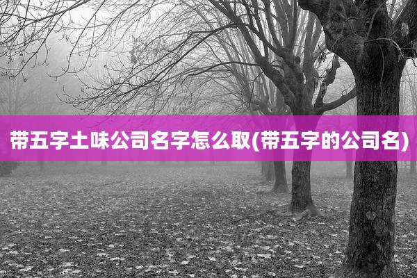 带五字土味公司名字怎么取(带五字的公司名)