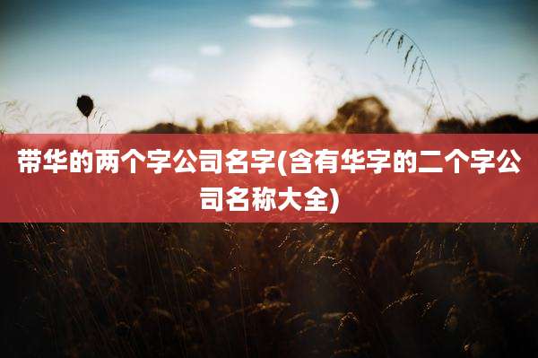 带华的两个字公司名字(含有华字的二个字公司名称大全)