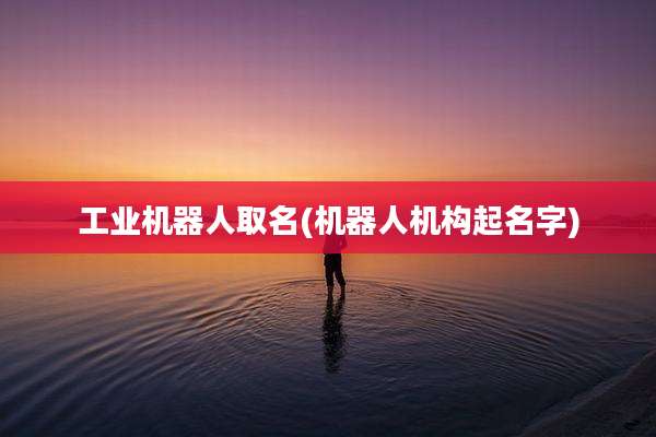 工业机器人取名(机器人机构起名字)