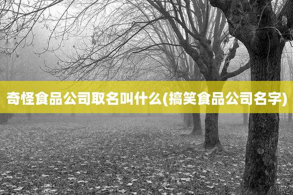 奇怪食品公司取名叫什么(搞笑食品公司名字)