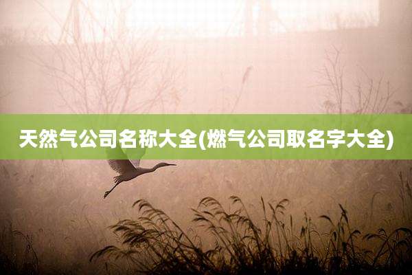 天然气公司名称大全(燃气公司取名字大全)