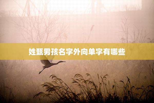 姓甄男孩名字外向单字有哪些