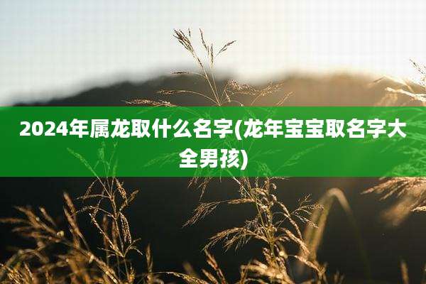 2024年属龙取什么名字(龙年宝宝取名字大全男孩)
