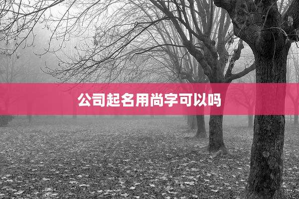 公司起名用尚字可以吗