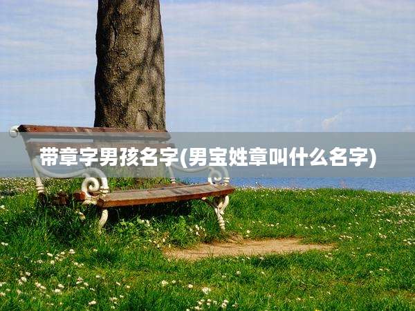 带章字男孩名字(男宝姓章叫什么名字)