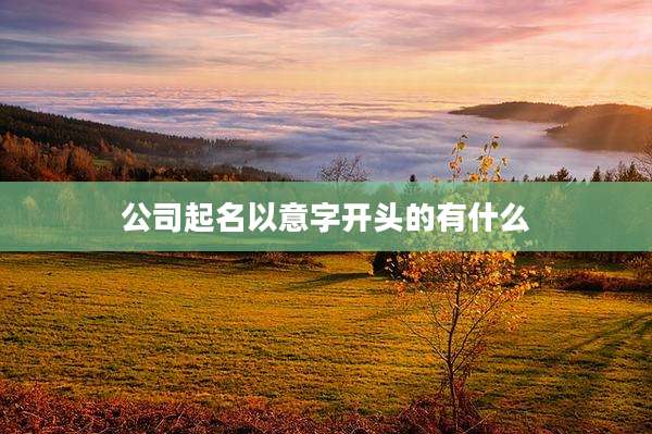公司起名以意字开头的有什么