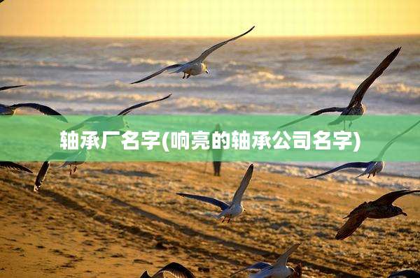 轴承厂名字(响亮的轴承公司名字)