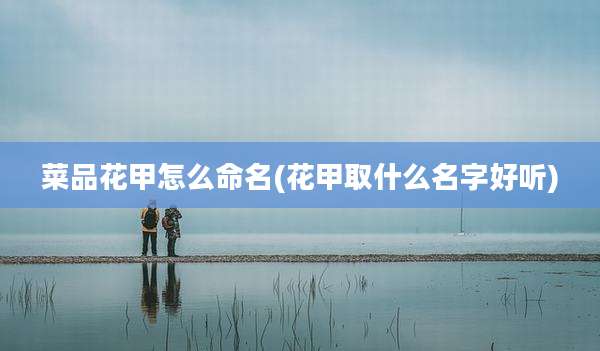 菜品花甲怎么命名(花甲取什么名字好听)