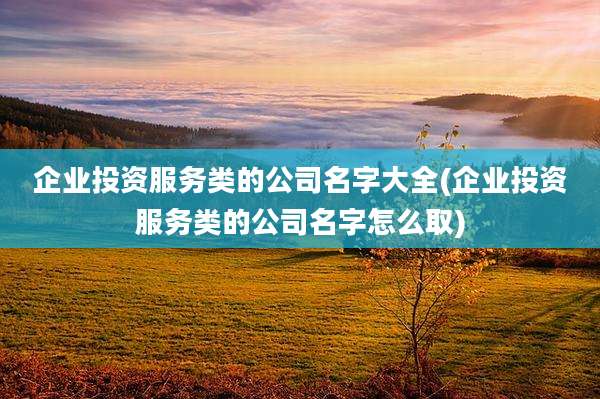 企业投资服务类的公司名字大全(企业投资服务类的公司名字怎么取)