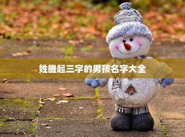 姓雒起三字的男孩名字大全