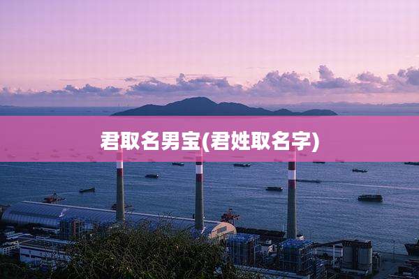 君取名男宝(君姓取名字)