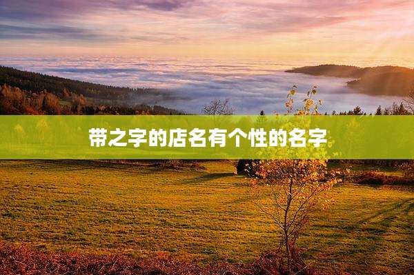 带之字的店名有个性的名字