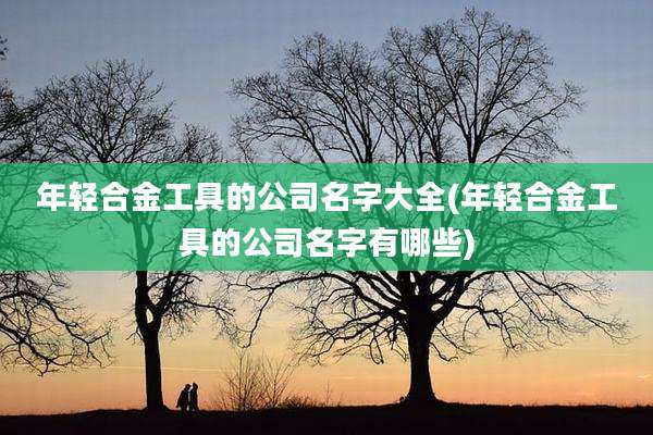 年轻合金工具的公司名字大全(年轻合金工具的公司名字有哪些)
