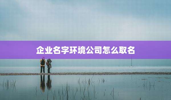 企业名字环境公司怎么取名