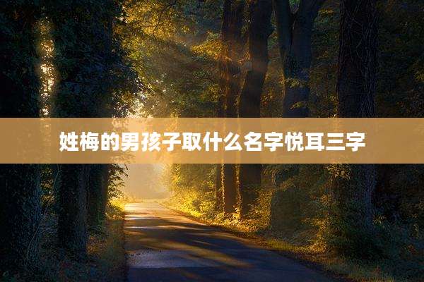 姓梅的男孩子取什么名字悦耳三字