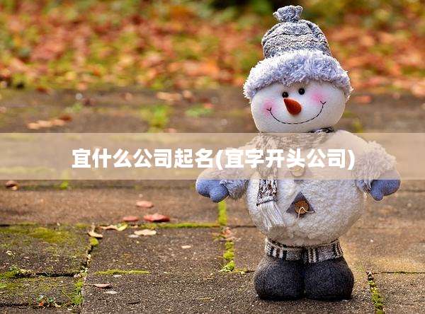 宜什么公司起名(宜字开头公司)