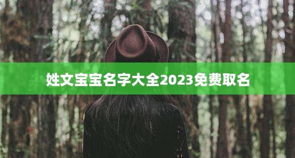 姓文宝宝名字大全2023免费取名