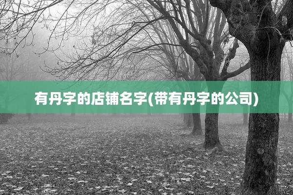 有丹字的店铺名字(带有丹字的公司)