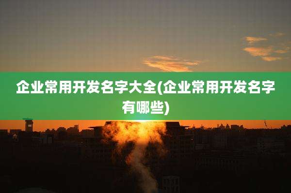 企业常用开发名字大全(企业常用开发名字有哪些)