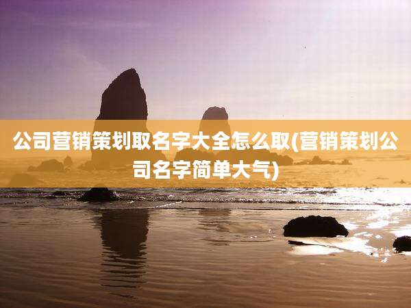 公司营销策划取名字大全怎么取(营销策划公司名字简单大气)