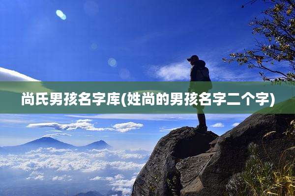 尚氏男孩名字库(姓尚的男孩名字二个字)