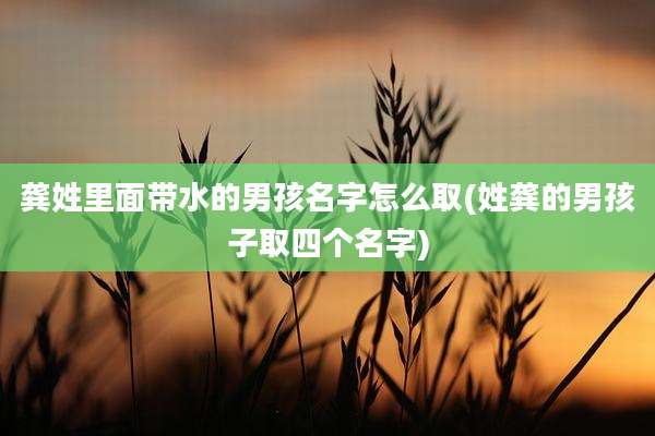 龚姓里面带水的男孩名字怎么取(姓龚的男孩子取四个名字)