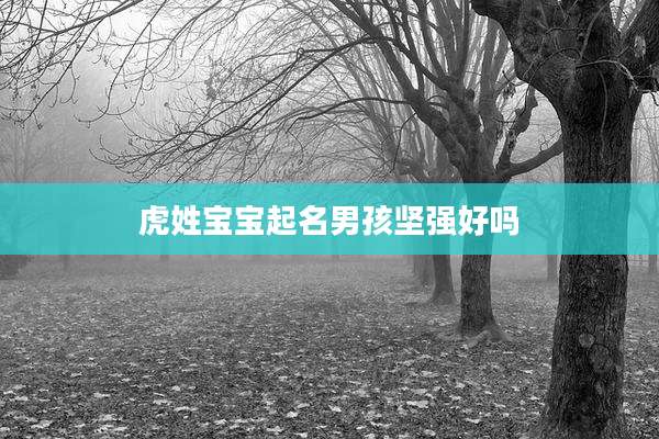 虎姓宝宝起名男孩坚强好吗