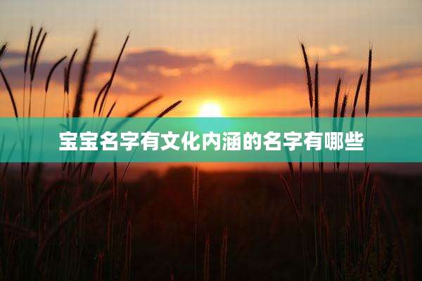 宝宝名字有文化内涵的名字有哪些
