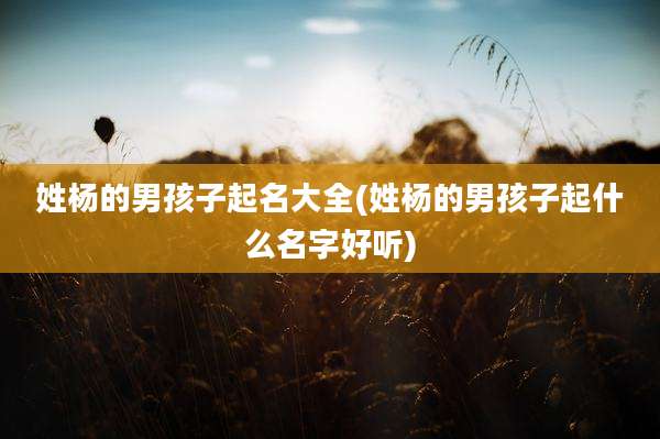 姓杨的男孩子起名大全(姓杨的男孩子起什么名字好听)