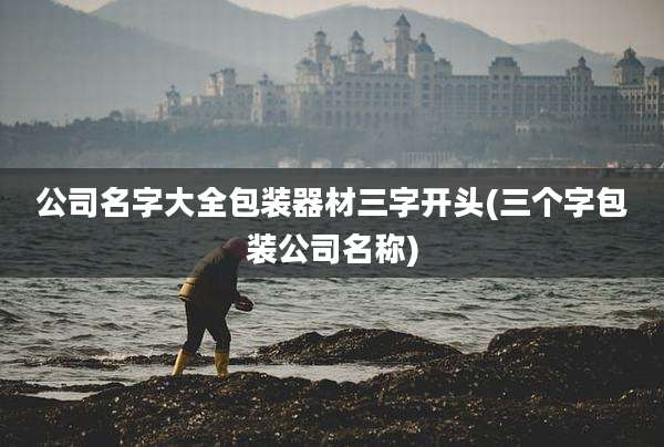 公司名字大全包装器材三字开头(三个字包装公司名称)
