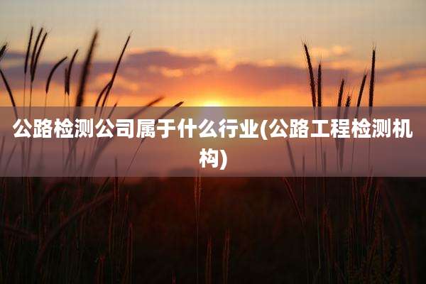公路检测公司属于什么行业(公路工程检测机构)