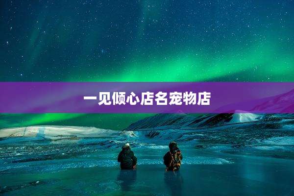 一见倾心店名宠物店