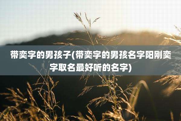 带奕字的男孩子(带奕字的男孩名字阳刚奕字取名最好听的名字)