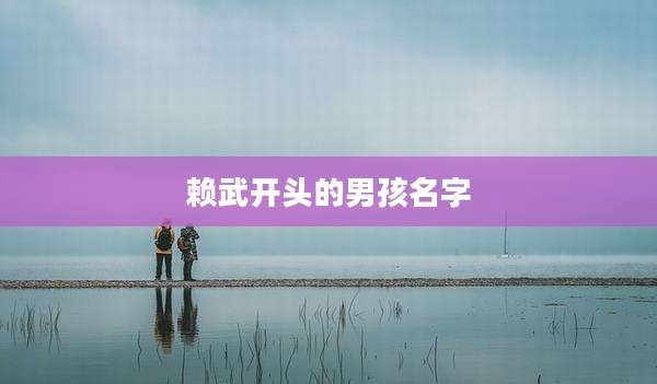 赖武开头的男孩名字