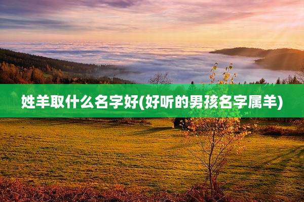 姓羊取什么名字好(好听的男孩名字属羊)