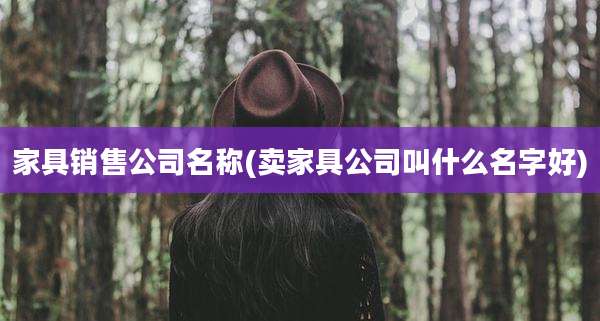 家具销售公司名称(卖家具公司叫什么名字好)