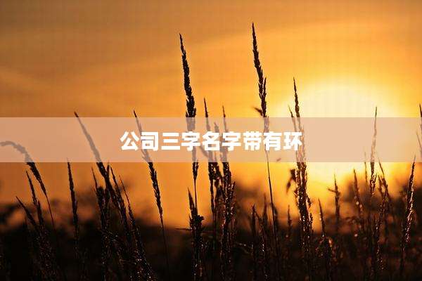 公司三字名字带有环