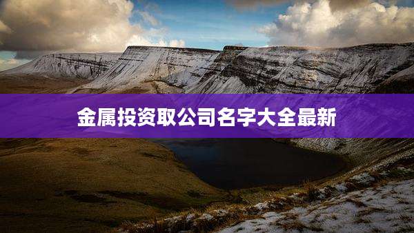 金属投资取公司名字大全最新