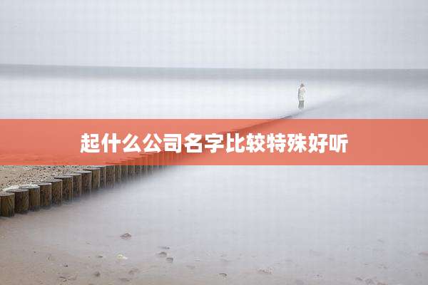 起什么公司名字比较特殊好听