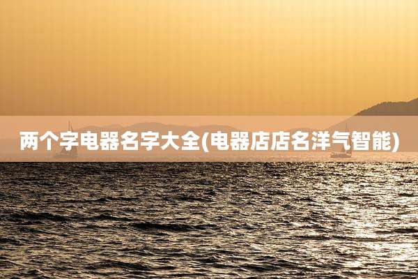 两个字电器名字大全(电器店店名洋气智能)