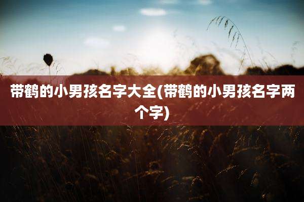 带鹤的小男孩名字大全(带鹤的小男孩名字两个字)